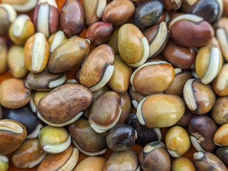 A collection of hyacinth beans, which are oval-shaped legumes with a smooth and glossy surface.