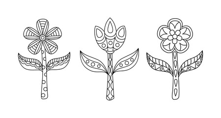 Naive linear flowers in simple style vector illustration. Hand drawn contour geometric plants isolated on white background