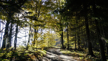 White carpathians moravia