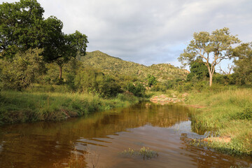 Kr&uuml;ger Park - Afrikanischer Busch - Matjulu River / Kruger Park - African bush - Matjulu River/