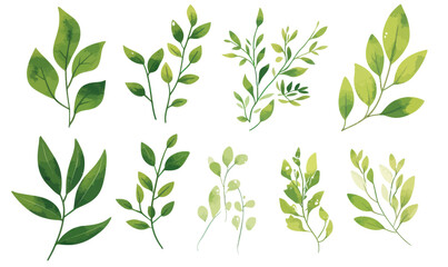 Watercolor Illustration of Green Leaves and Branches Set for Nature Design Projects