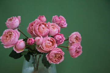 Bouquet of pink roses on a green background