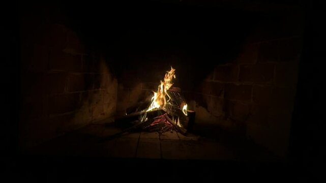 FUEGO, Le&ntilde;os ardiendo en una chimenea 