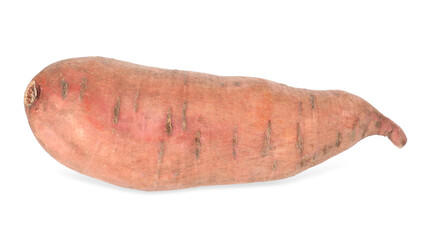 One fresh sweet potato isolated on white, above view. Vegetable root