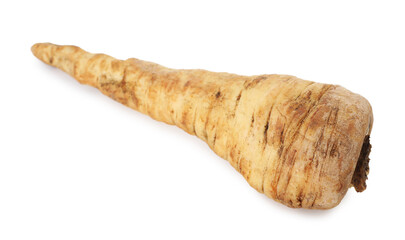 One fresh parsnip isolated on white. Root vegetable