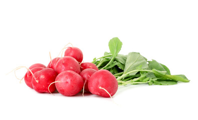Fresh ripe radishes isolated on white. Root vegetable