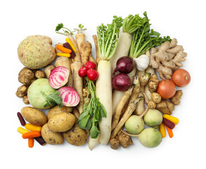 Many different root vegetables isolated on white, top view