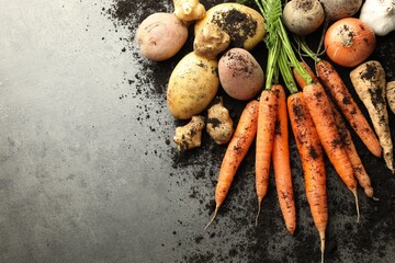 Different root vegetables and soil on grey table, flat lay. Space for text