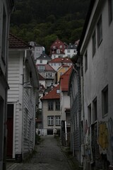 Obraz premium Clusters of Nordic homes nestled within steep mountain ridges.
