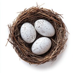 Obraz premium Nestled among twigs, three beautifully speckled eggs await the arrival of new life. The serene setting highlights nature's artistry and the promise of spring
