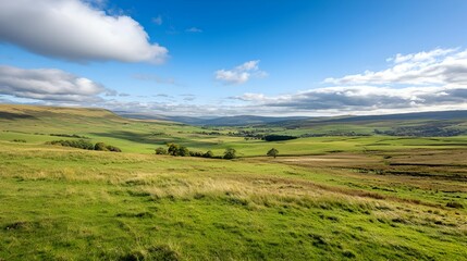 Fototapeta premium Rolling Green Hills Under a Blue Sky with Fluffy Clouds