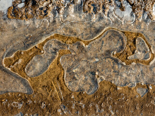 Formen und Muster im Eis