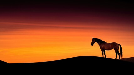 Fototapeta premium Silhouette of horse against vibrant sunset backdrop