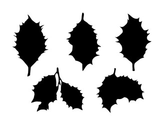 Holly Berries Leaves Icon, Holy Berry Grunge Leaf Symbol, European Ilex Branch silhouette, Xmas Sprig