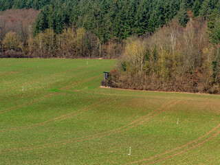 Hoch und Jägersitz am Waldrand
