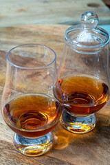 Scotch single malt and blended whisky tasting on distillery in Scotland close up