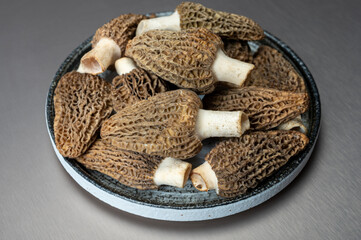 Raw spring mushrooms morchellas or true morels edible sac fungi for gourmet cooks, in Catalan and French cuisine