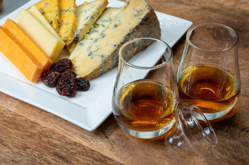 Whiskey and cheese pairing, tasting speyside whisky glasses and plate with sliced cheddar, blue stilton and blue shropshire cheeses, Great Britain food and drink