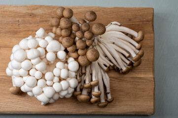 Fresh white and brown shimeji edible mushrooms native to East Asia, buna-shimeji is widely...