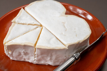 Cheese collection, French cheese from Normandy region, heart-shaped neufchatel from farm shop close up