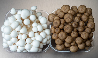 Fresh white and brown shimeji edible mushrooms native to East Asia, buna-shimeji is widely cultivated and rich in umami tasting compounds