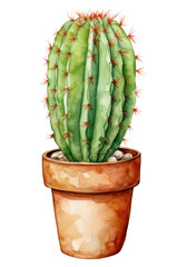 PNG Cactus plant houseplant freshness.