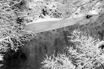 Tree branches freshly covered with snow frame a partially frozen creek
