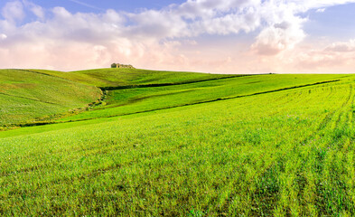 panoramic farmland landscape with green spring field , salad and yellow hills, garden and grassland and beautiful cloudy sky.