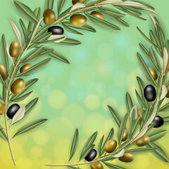 Realistic olive tree branch frame with bokeh background. Green and black olives with leaves. Food illustration