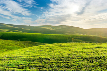 green field in countryside farm at sunset in evening light. beautiful spring landscape in hills. grassy field and hill. rural scenery
