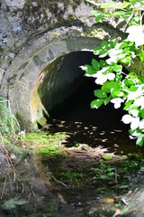 Underground cement tunnel for stream rivulet overgrown with plants in sunny day. Mystery tunnel...