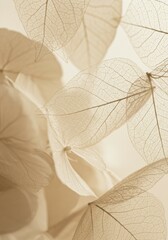 A natural, abstract design with beige flower petals and translucent leaves, perfect for botanical projects and calming interiors.