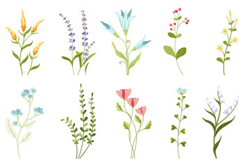 Collection of colorful flower and botanical vector elements. Set of branches, leaves, herbs, wild plants, flowers. Perfect for use in graphic design projects, invitations, cards, fabric patterns, and
