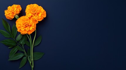 Number eight-shaped orange marigolds on a dark navy background.