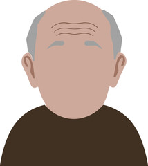 Bald Elderly Man Portrait Flat Vector Illustration