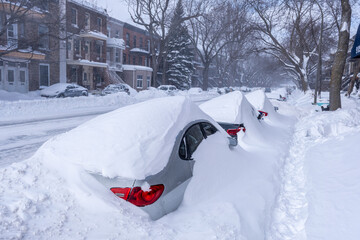 Cars covered with snow after major winter storm in Montreal (February 2025)