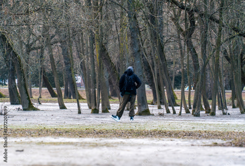 Poster a person strolls along a serene forest path in early spring, surrounded by tall, leafless trees and 
