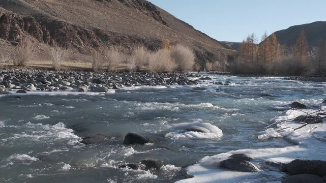 Seething water quickly flows over the stones. Mountain river in autumn against the background of the forest. Altai
