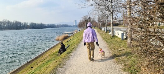 Frau und Hund in Herbstzeit 