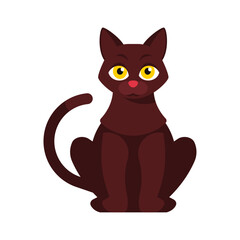 cute cat pet