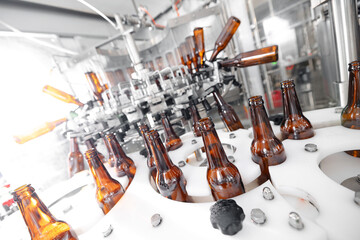 Process pasteurization Brown glasses bottles with beer, moving on conveyor. Concept production line...
