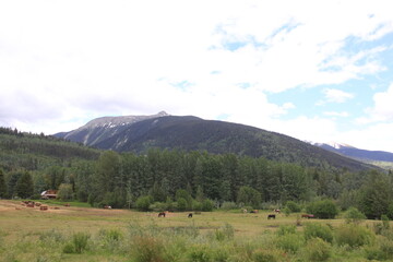 Obraz premium Smithers to Prince George B.C. Scenery