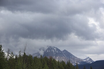 Smithers and Prince George area Scenery