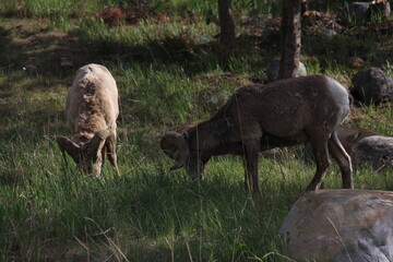 Smithers and Prince George area Scenery
