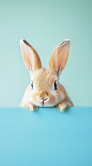 Obraz premium A cute baby rabbit peeks over the edge of a blue surface against a soft teal background, showcasing its expressive eyes and fluffy ears in an endearing manner.