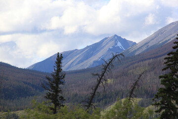 Smithers and Prince George area Scenery