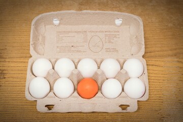 Unique Egg in a Carton – Concept of Individuality and Difference