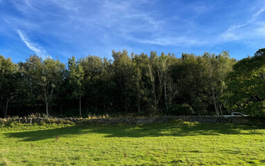 A lush green field stretches out under a bright blue sky, bordered by a line of tall trees. A stone wall separates the field from the forest, with a vehicle visible in the distance near, Goose Eye, UK