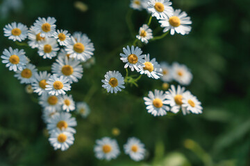 Abandoned wooden house with broken windows in rural area