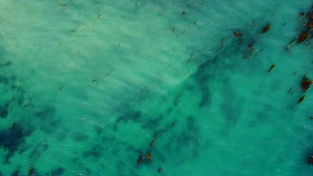 Abstract Aerial View of Crystal Blue Water and Kelp in Pacific Ocean along California Coast